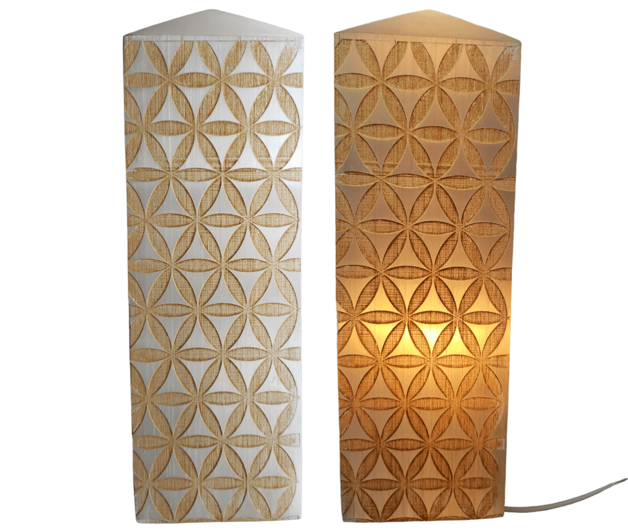 selenietlamp_aan_en_uit_26-01-2023_flower_web.png