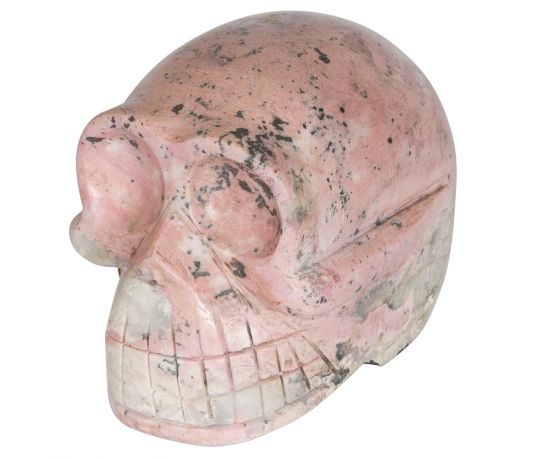 skull-manganocalciet-usd40-h75x95x7cm_1.jpg
