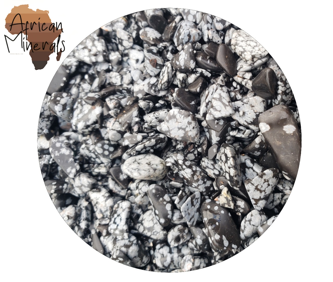 sneeuwvlokobsidiaan_met_africa_logo_web_edited.jpg