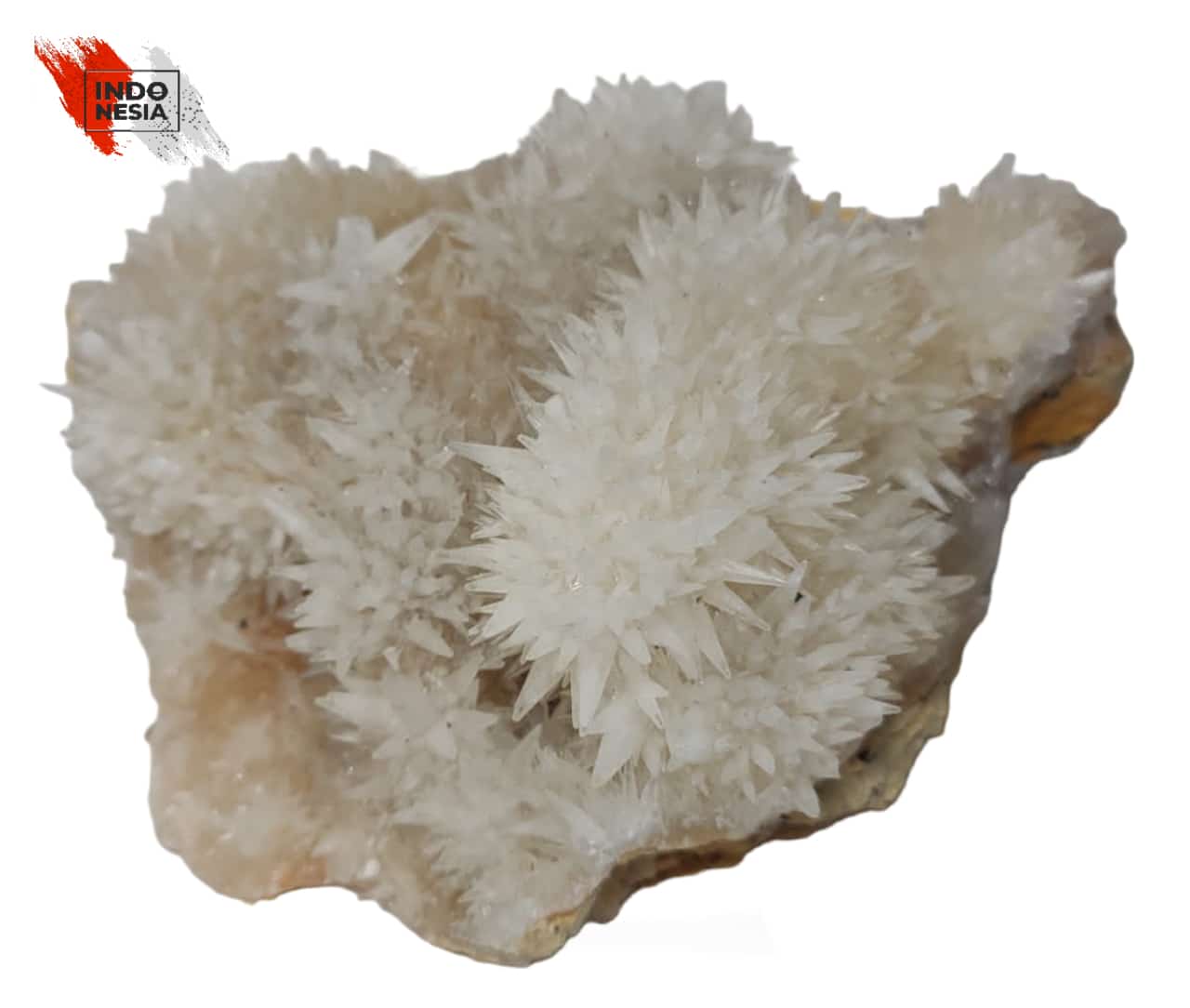 stand_dogteeth_calcite.jpg