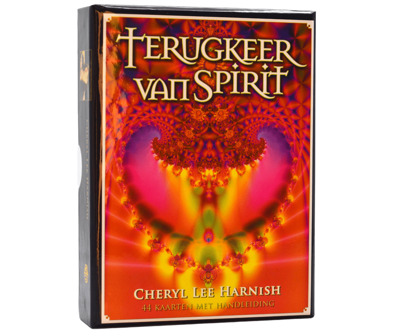terugkeer_van_spirit_web.png