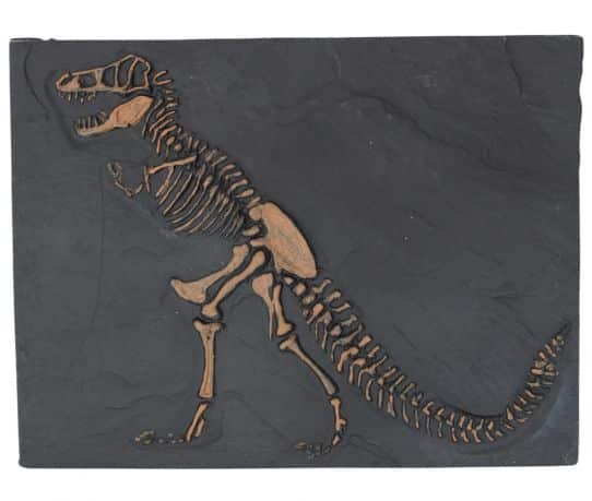 tyrannosaurus-plaat-replica_product.jpg