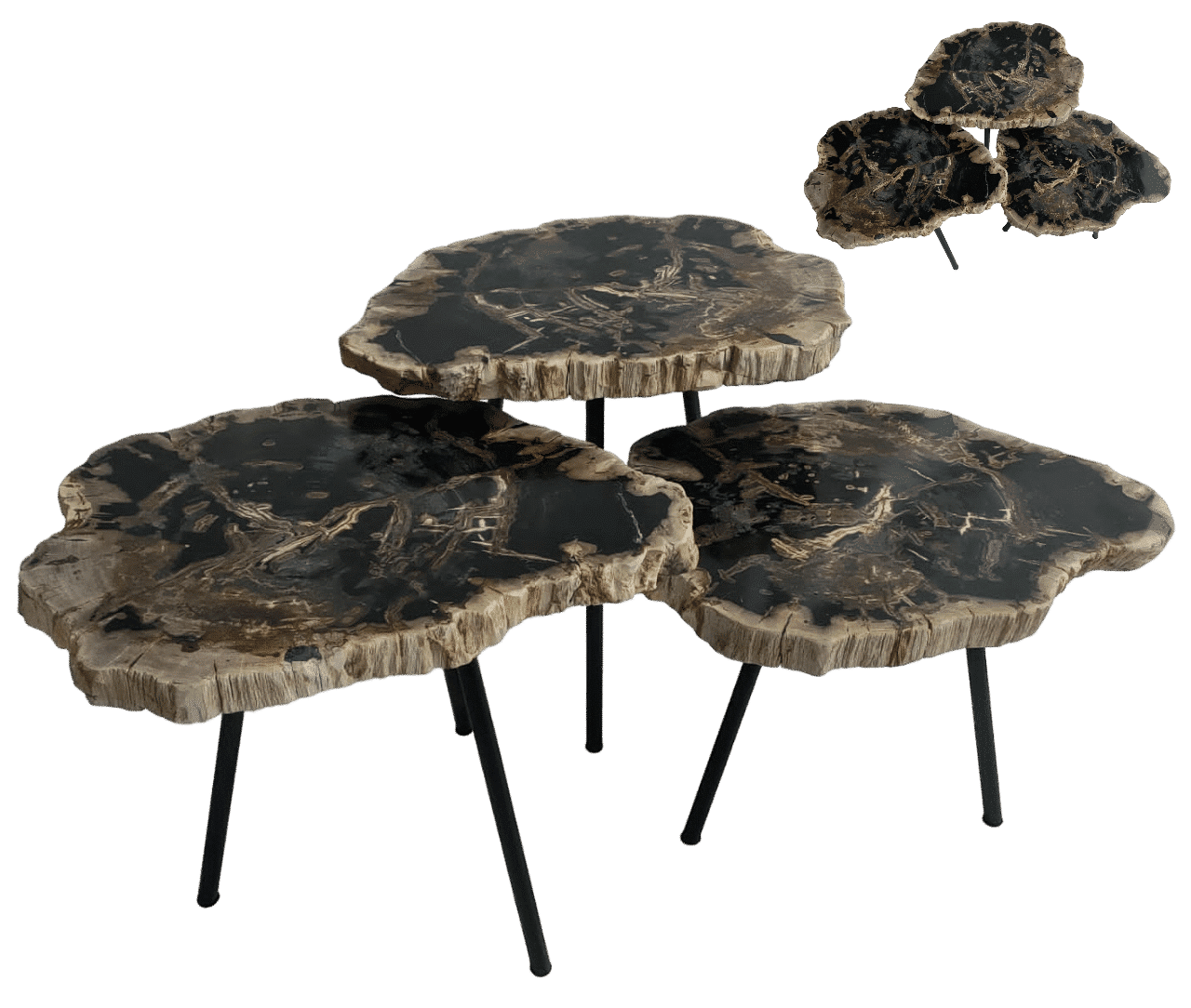 versteend_hout_tafels_set_van_3_web_compleet.png