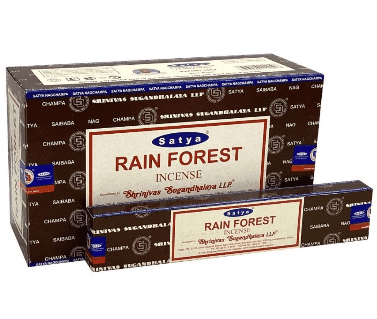 web_rain_forest_satya.png