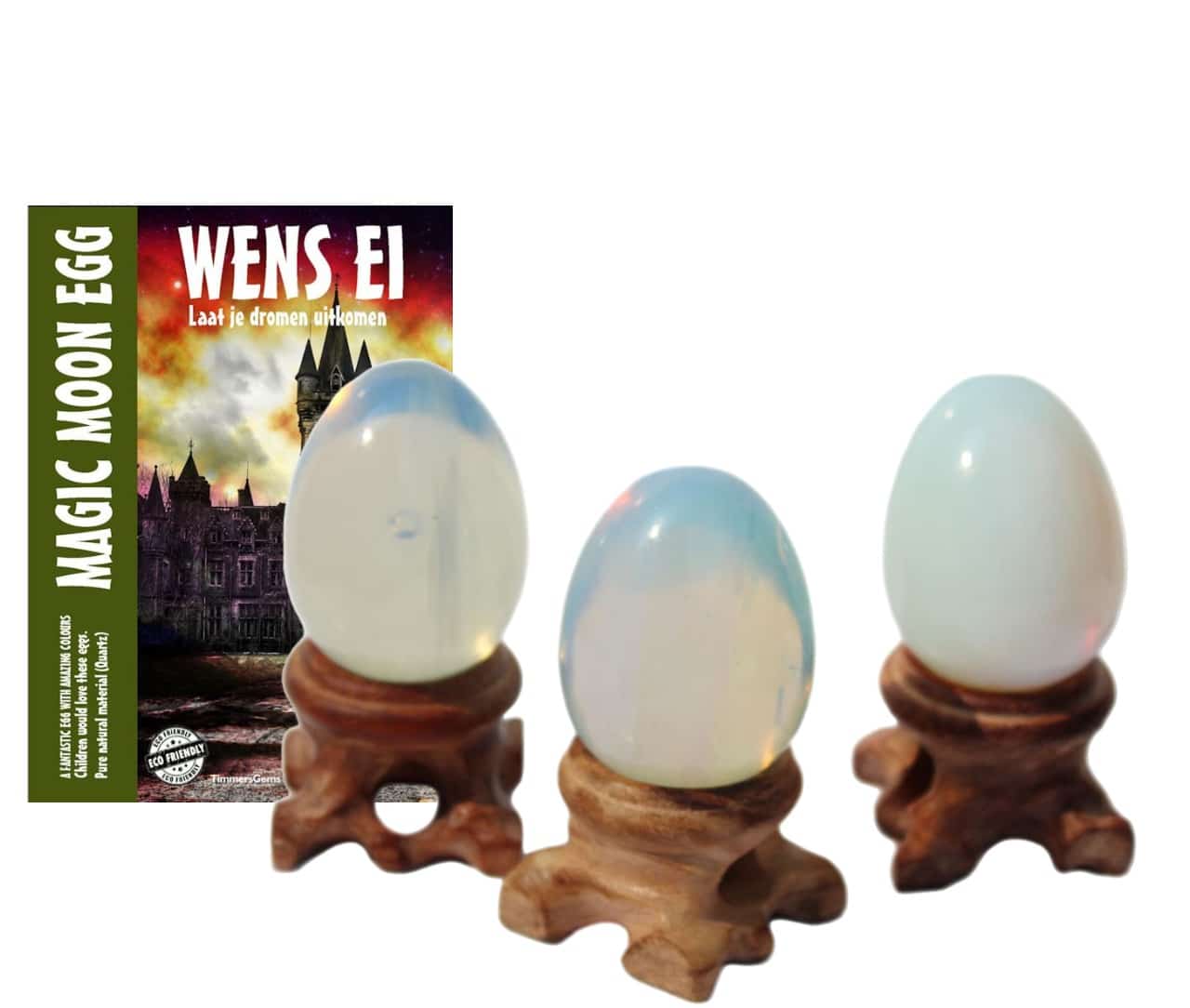 wensei_2023_web.jpg