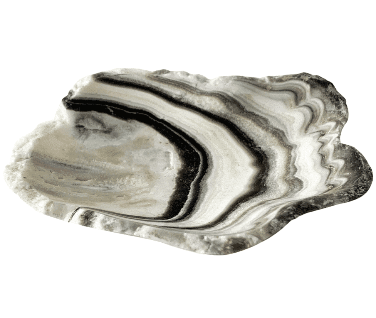 zebra_calcie_schaal_vrije_vorm_web.png