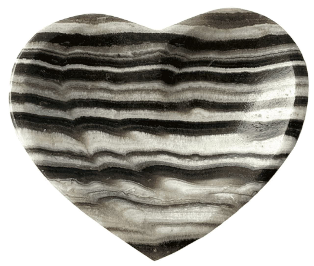 zebra_calciet_hart_schaal_web.png