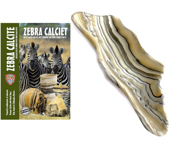 zebracalcietschaalcc2020_product.jpg