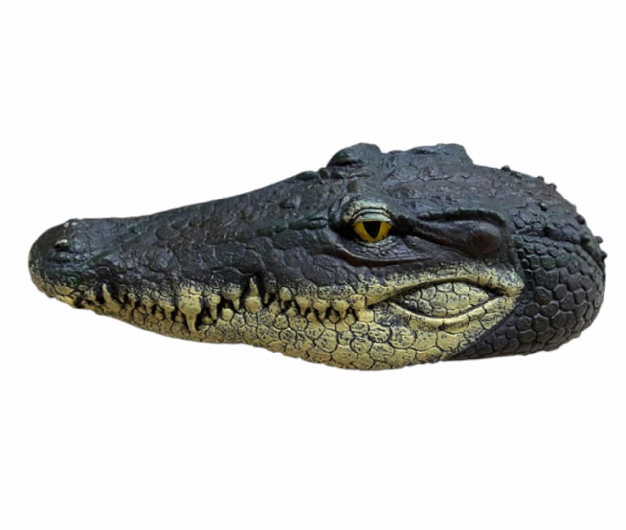 imitation_tête_de_croco.jpg