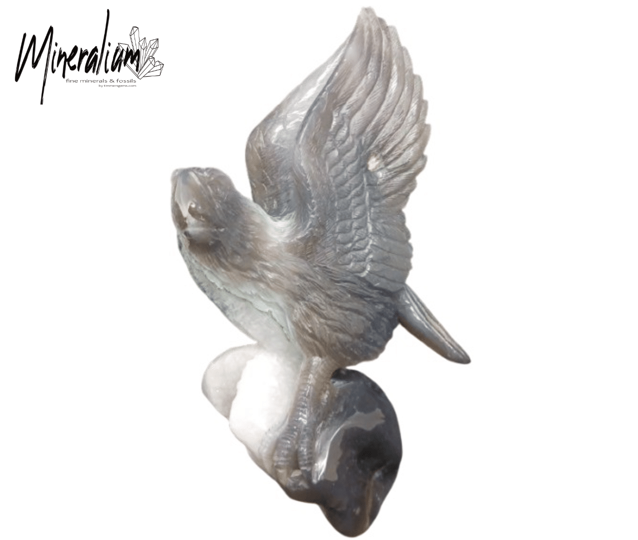 eagle_model_2.png