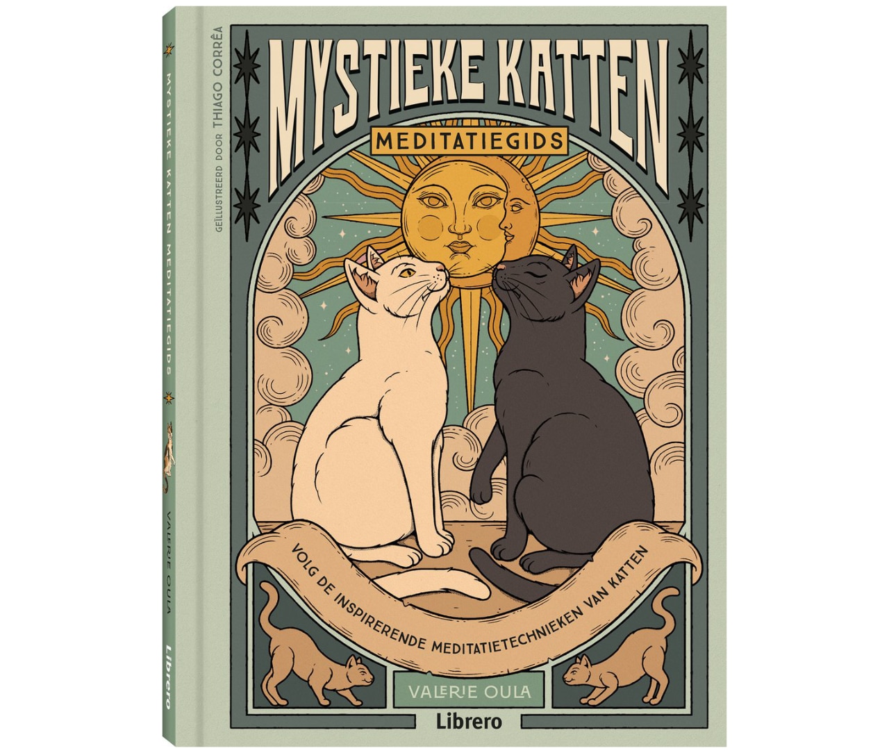 Mystieke katten meditaitegids WEB