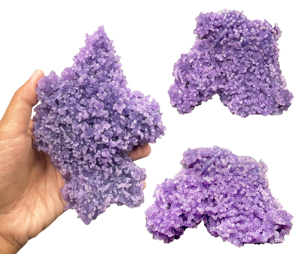 Agate raisin 2-1-2025