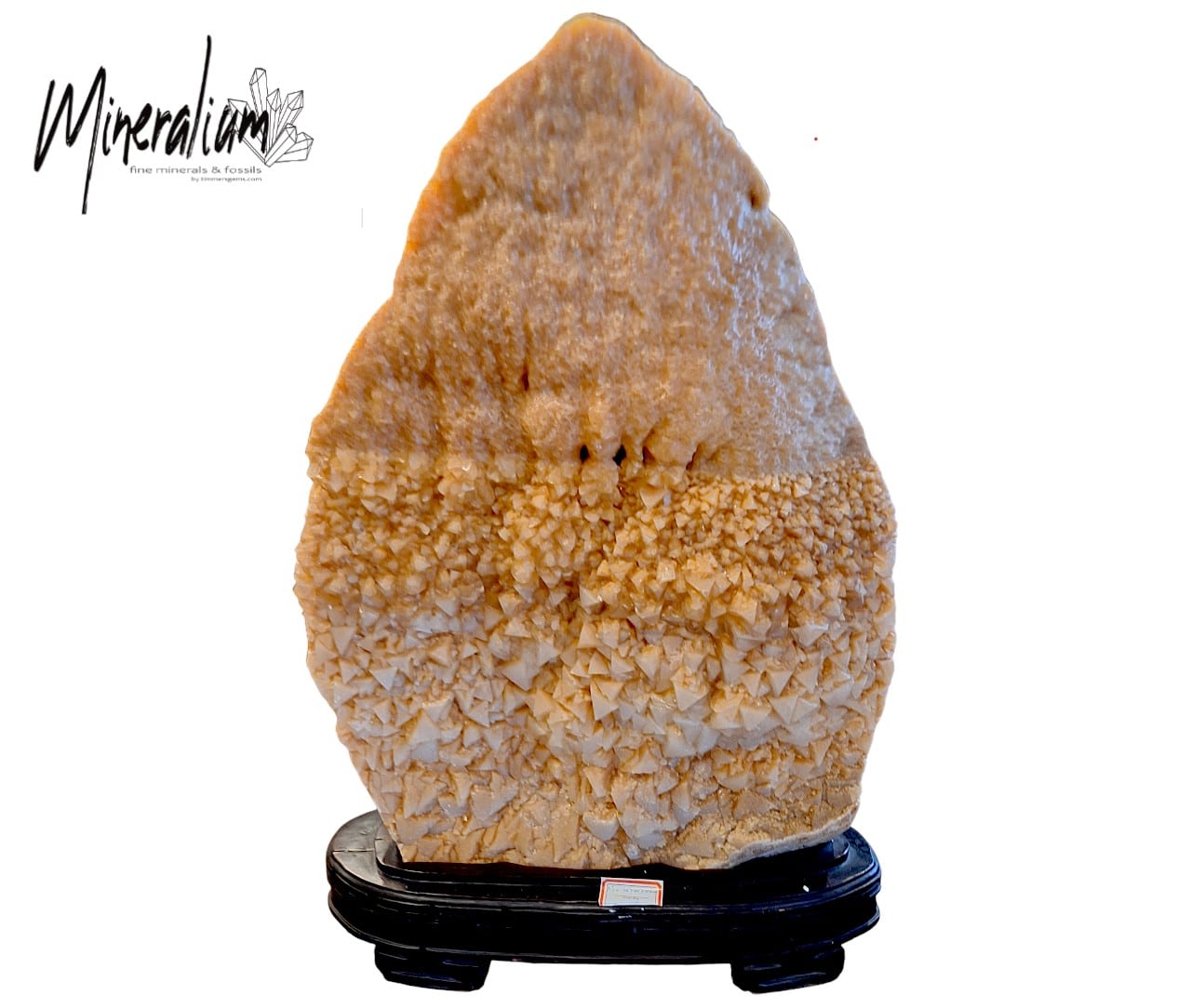 Mineralium 10 20-01-2026