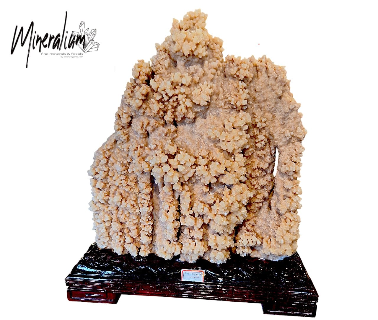 mineralium 12 20-01-2026