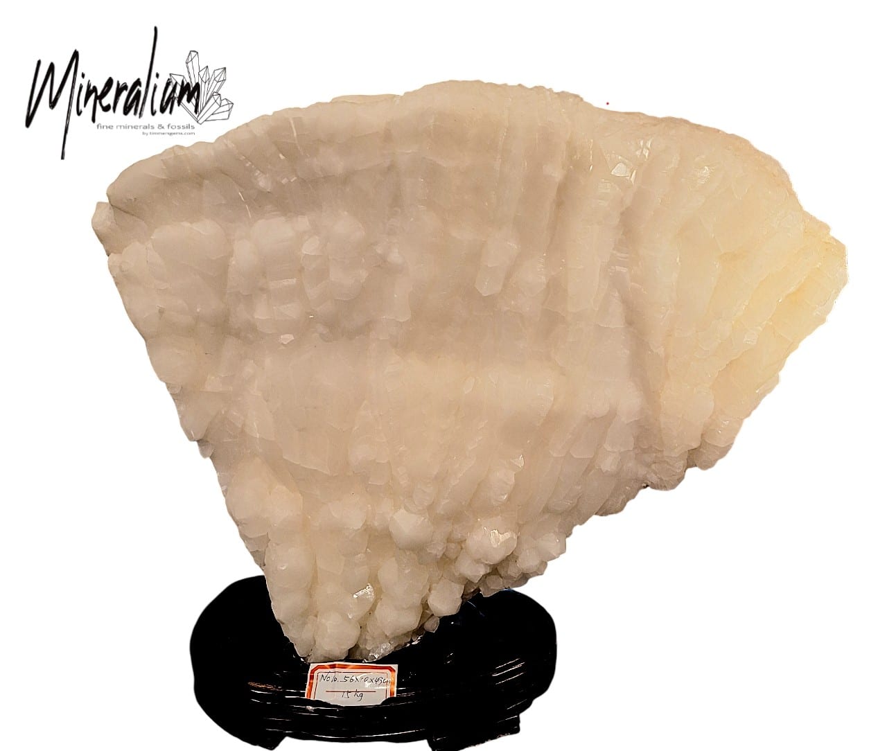 mineralium 5 20-01-2026
