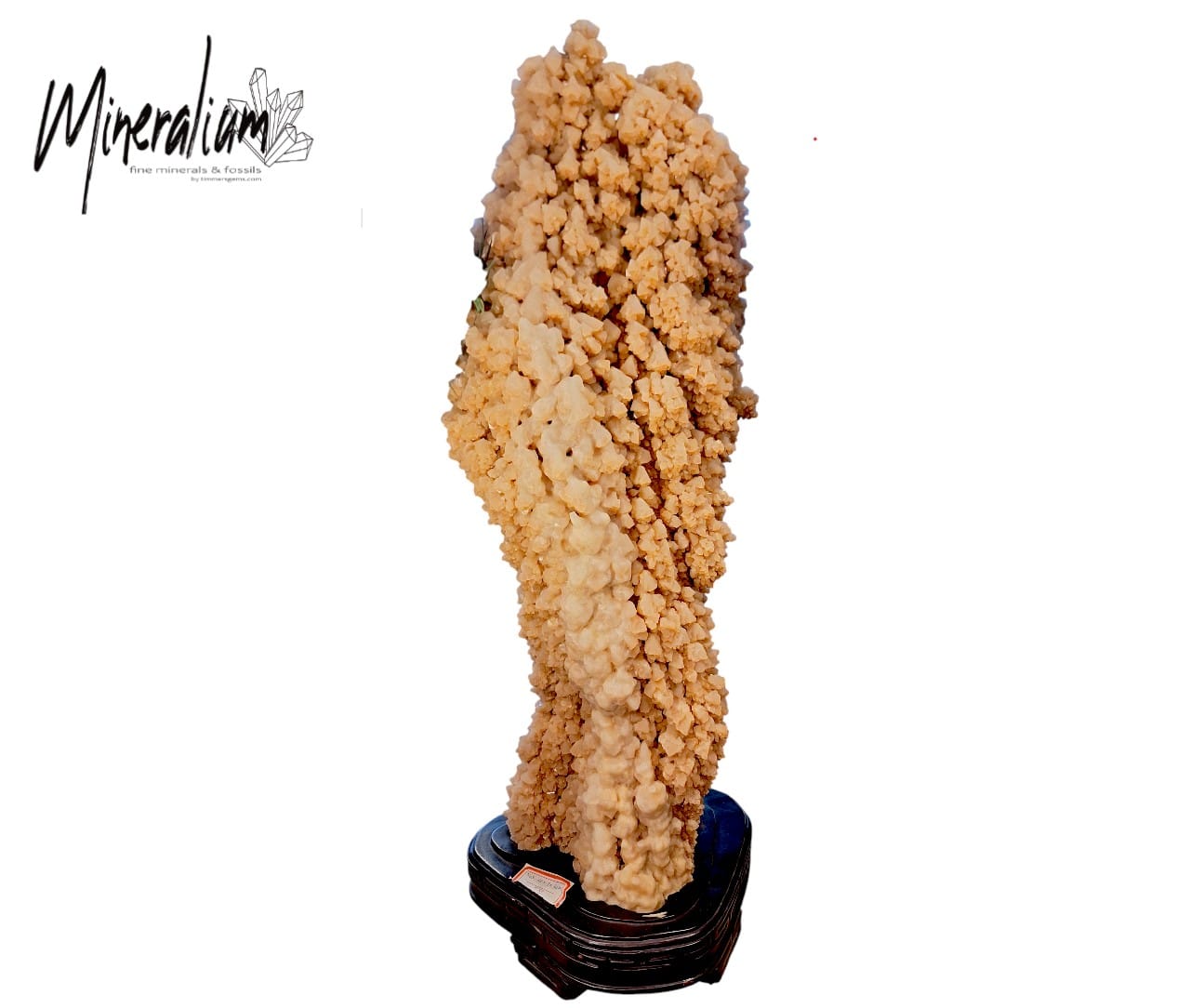 mineralium 7 20-01-2026