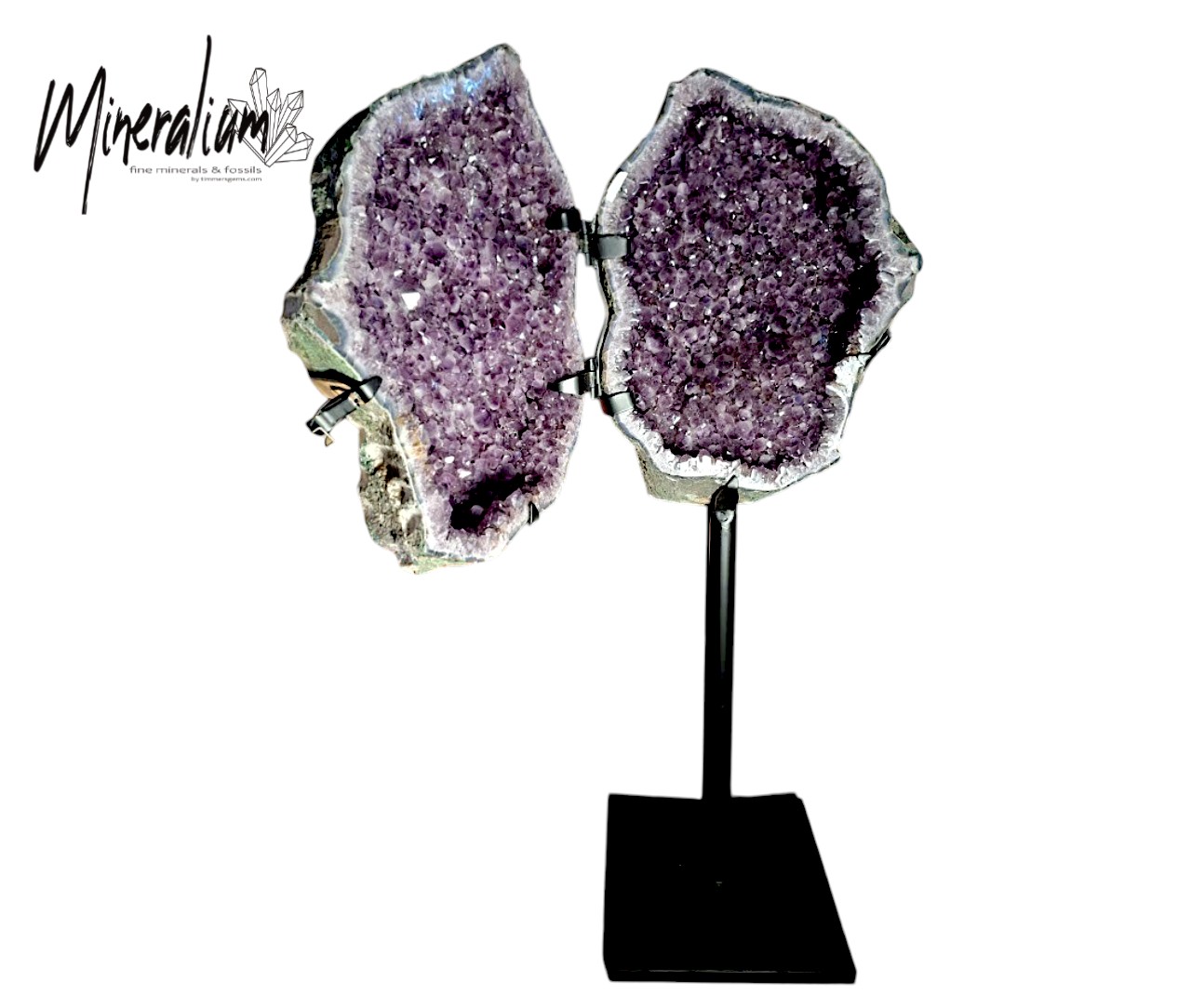 Amethyst wings 7-6-2026