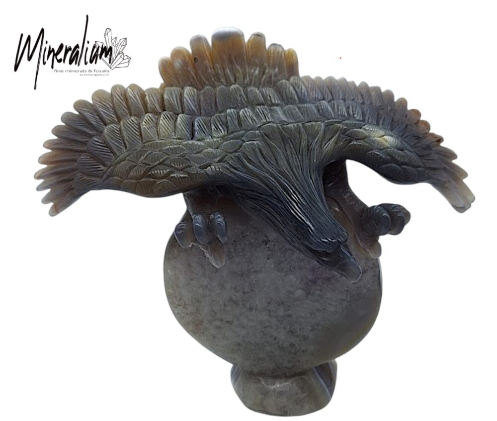 Botswana-agaat “Eagle” – meesterwerk van Yip Shung.