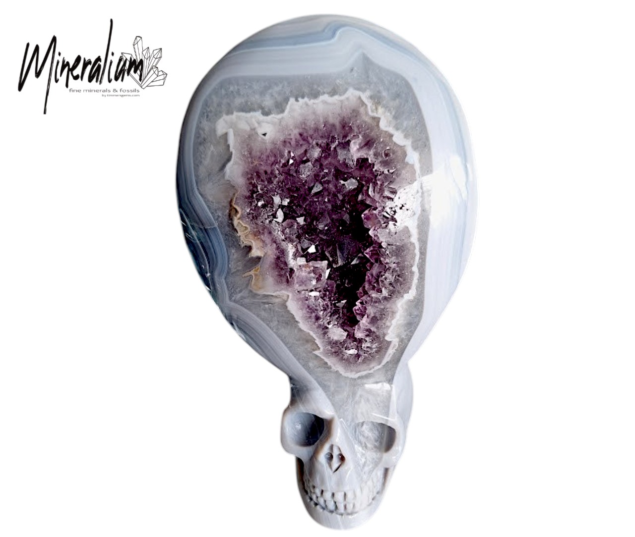 Photo 24 skull 1.1 kilo 16x8x7.5