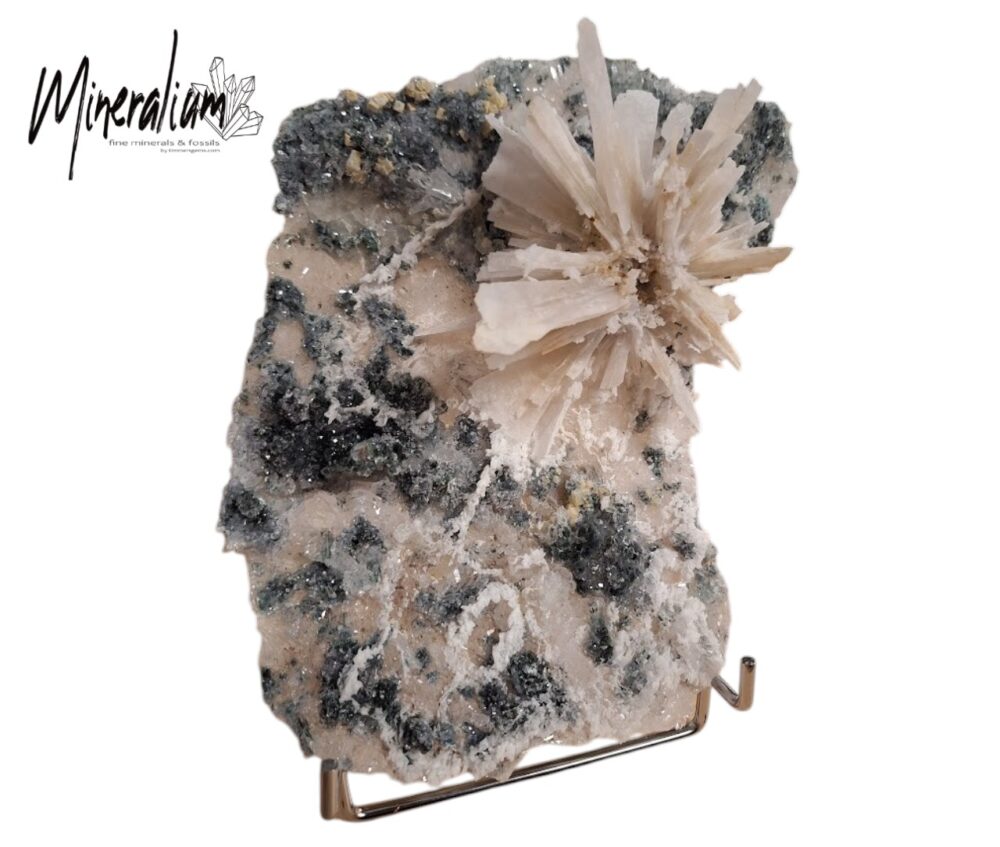 Amethist Flower "Super Piece" – Unieke Kristalformatie uit een Privéverzameling – 824 gram.