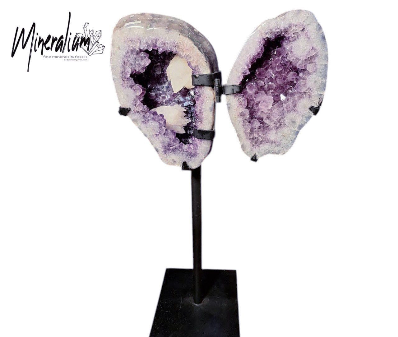 RRR Amethyst wings model 2 7-6-2026