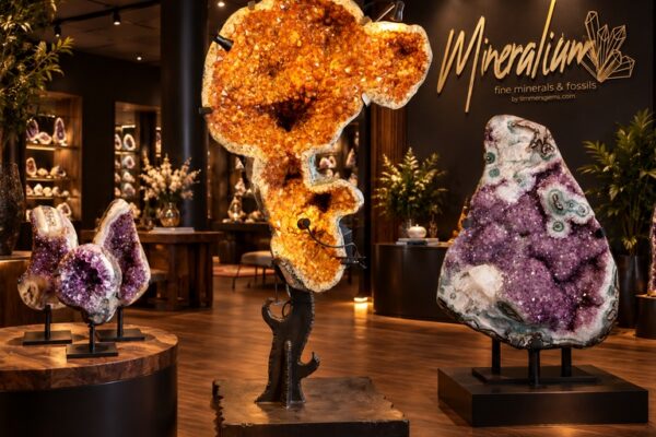 mineralium_showroom_768x614